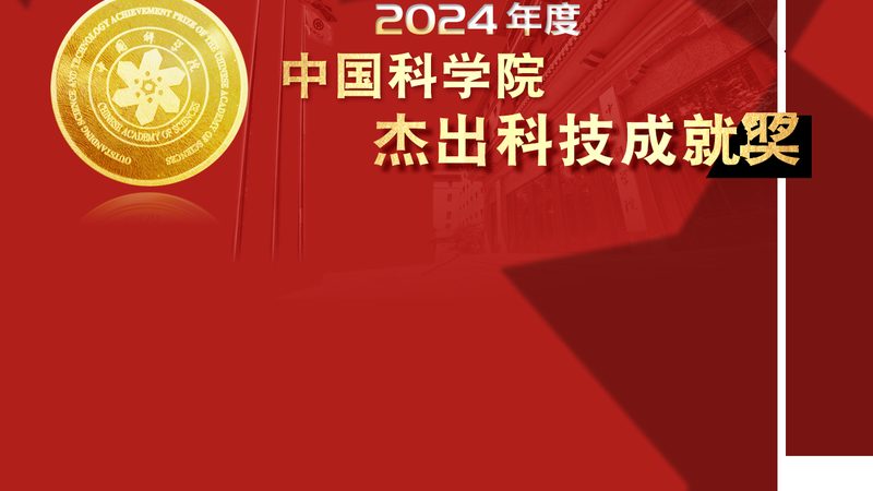 定制软件开发：揭秘成本构成与影响因素
