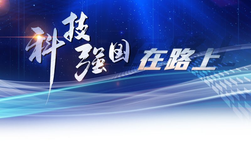 API网关与Service Mesh：架构之别，技术之辨