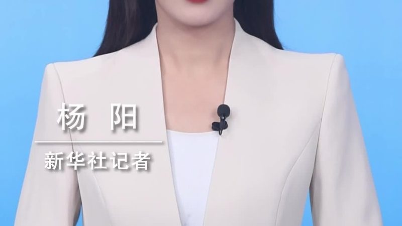 服务器批发市场现状与选型逻辑